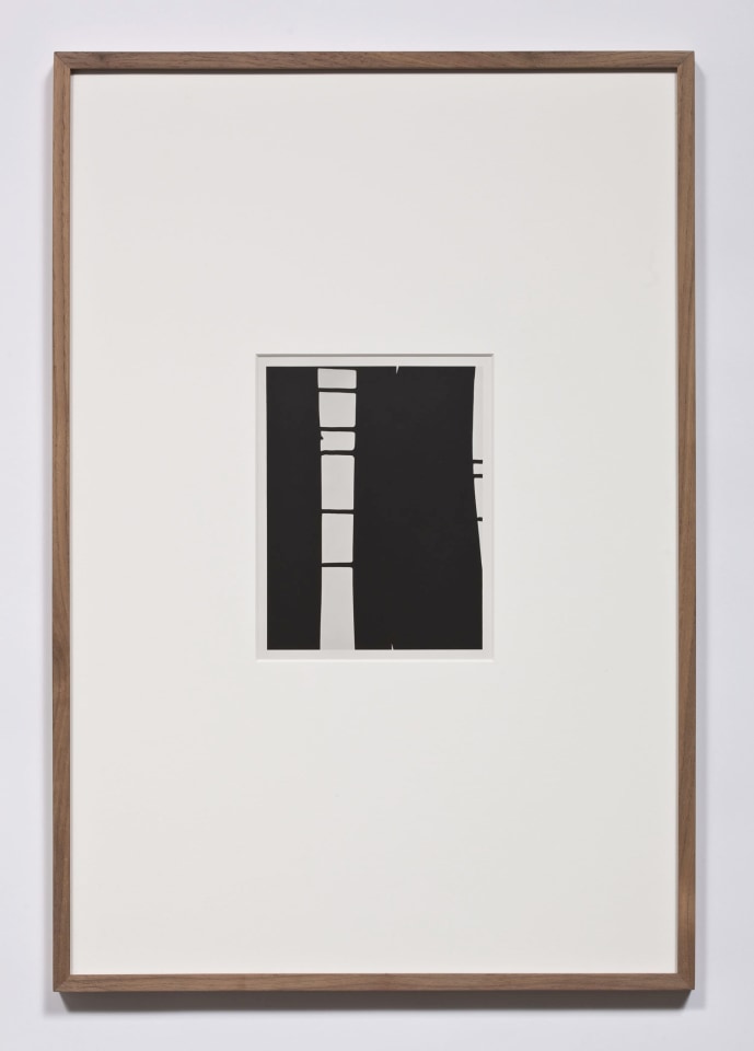 Anthony Pearson Untitled (Solarization Diptych), 2010