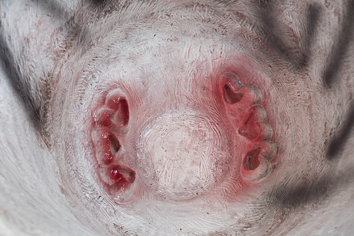 Ruby Neri Untitled (Pot), 2016