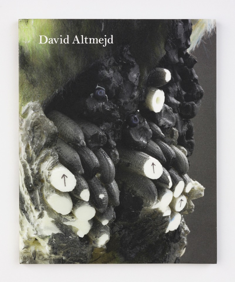 David Altmejd
