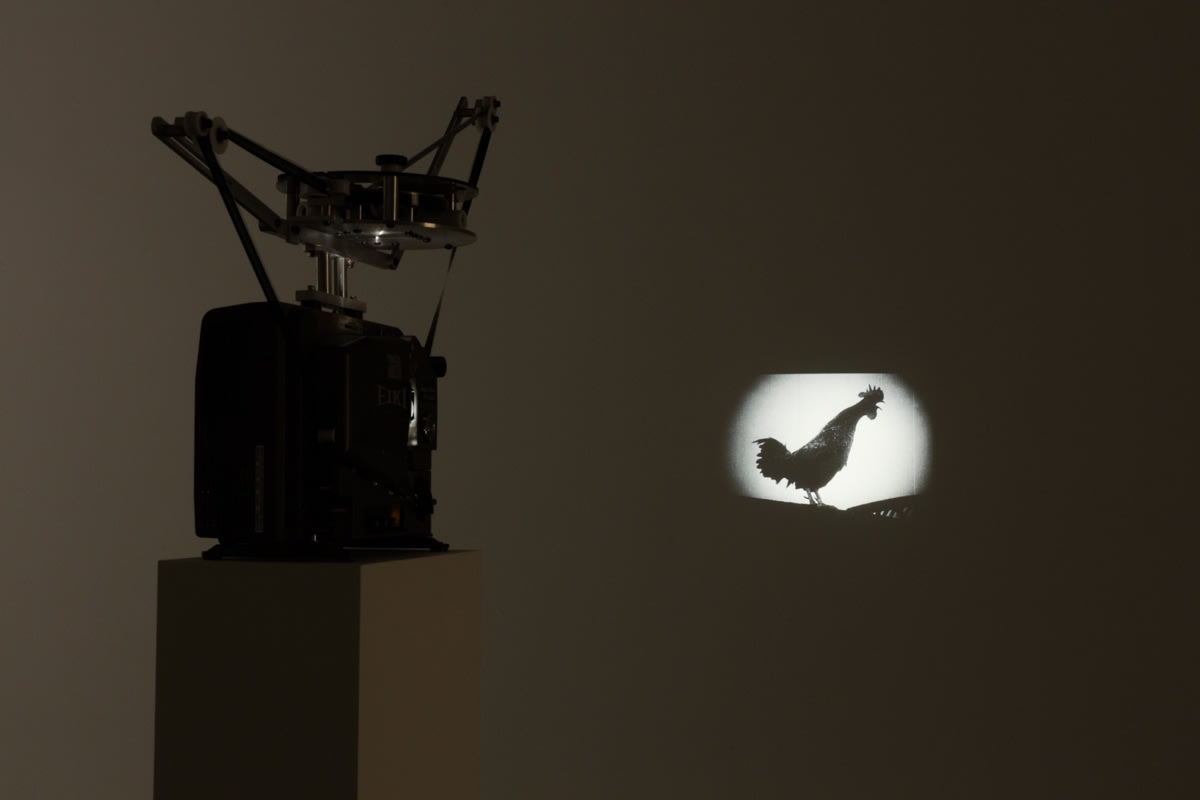 Pietro Roccasalva Il Signor Beneventano,&nbsp;2016