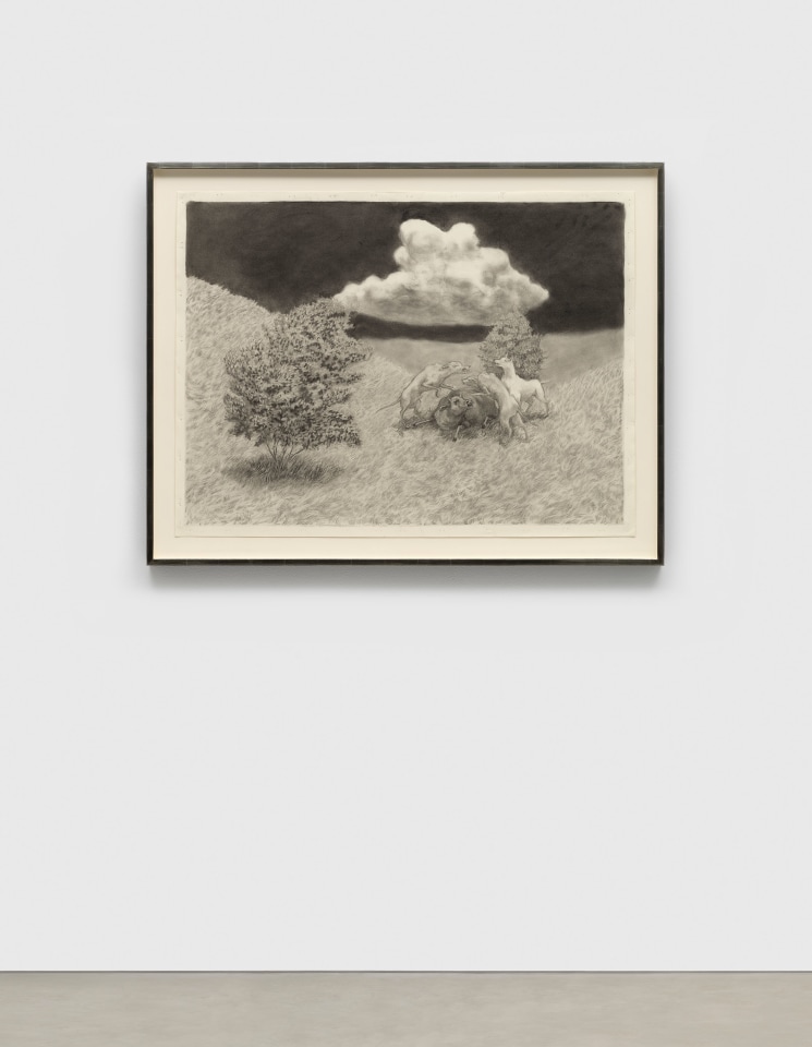 Jared Buckhiester, Untitled, 2025