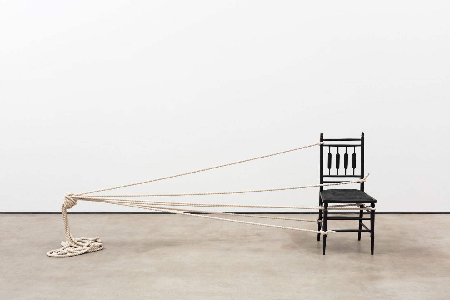 Ricky Swallow Chair with Rope, 2018