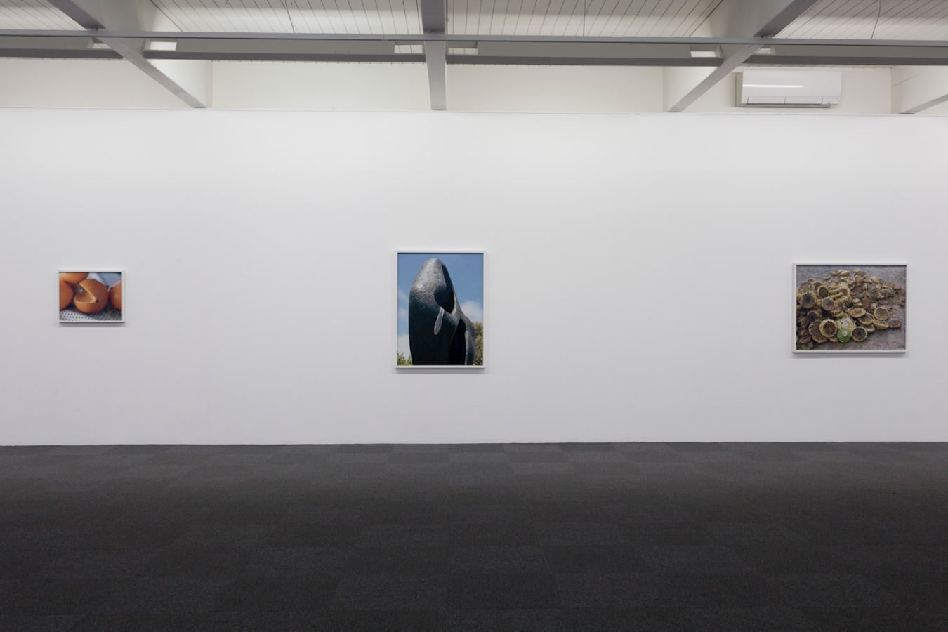 Torbj&oslash;rn R&oslash;dland