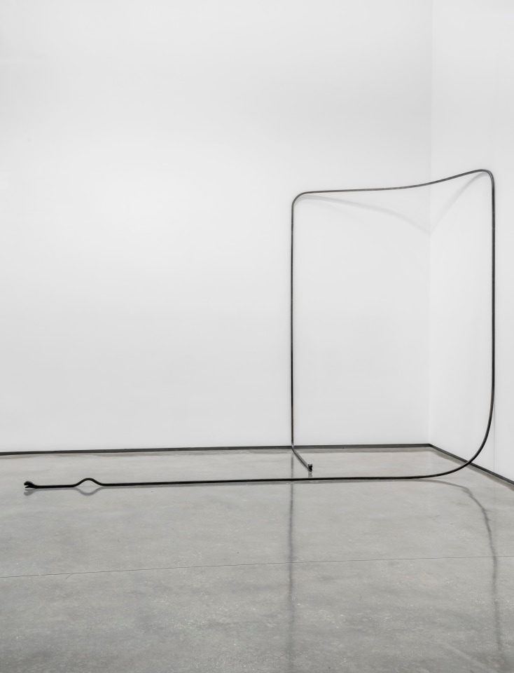 Valentin Carron, You he we we you, 2013