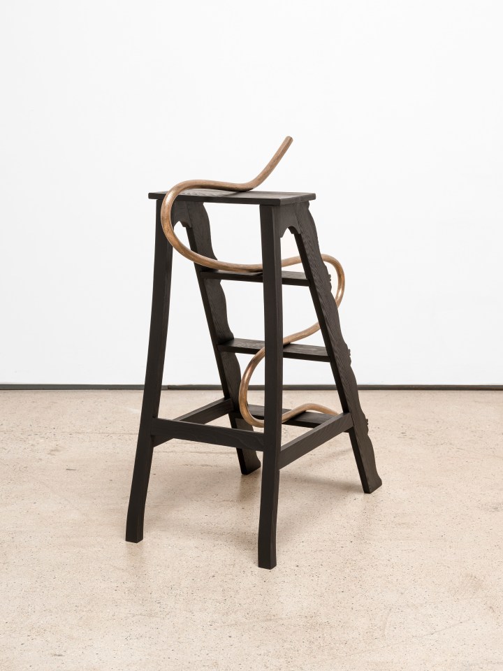 Ricky Swallow Step Ladder with Cane (cursive), 2020