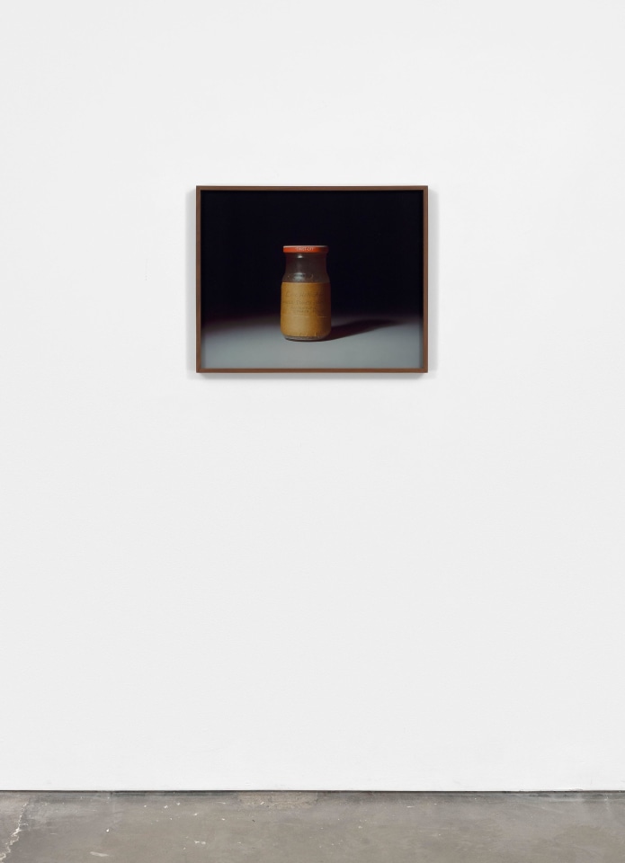 Rose Salane, Cochineal, 2025