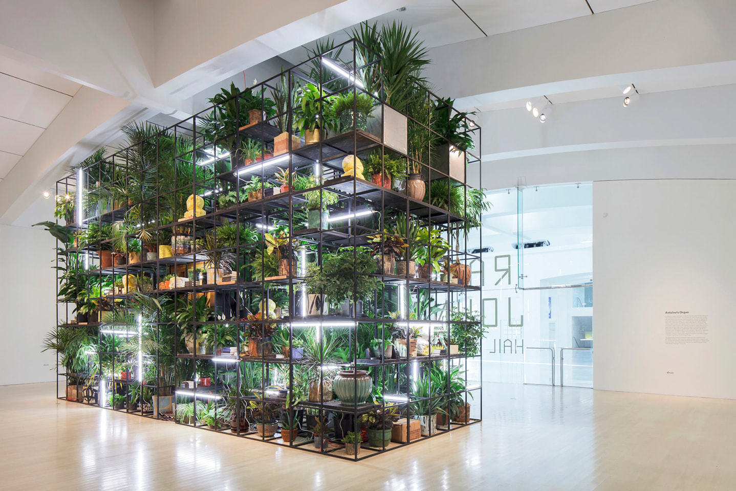 Rashid Johnson