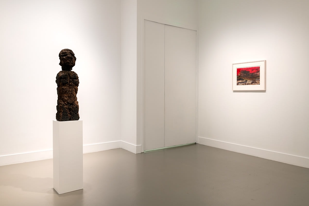 Huma Bhabha