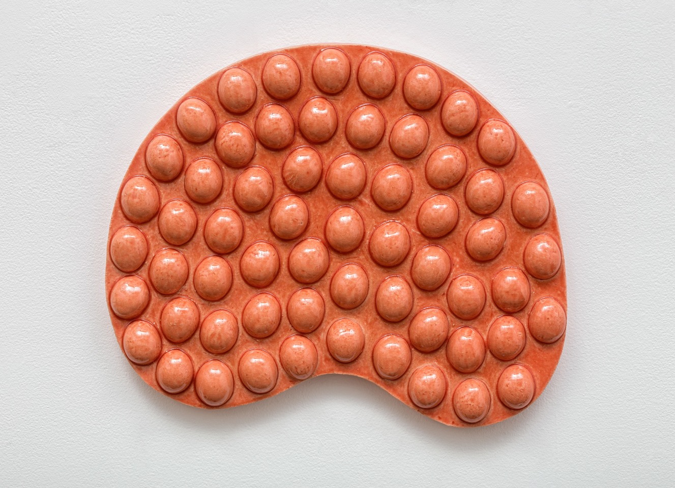 Mai-Thu Perret How can a sparrow know the aspiration of a wild swan?, 2014