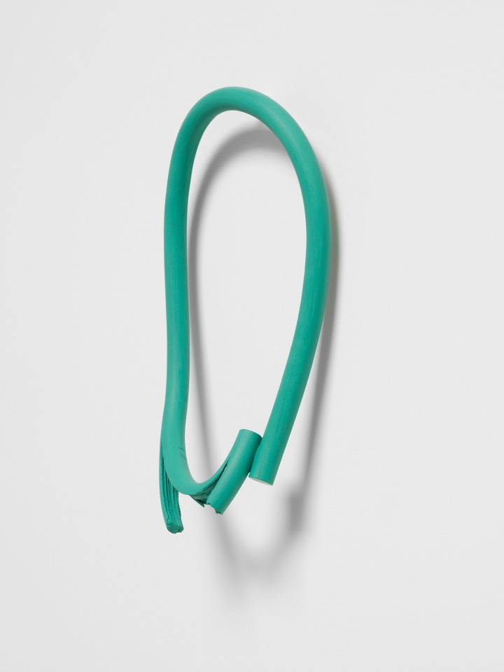 Ricky Swallow, Bulb (open) #3, 2019