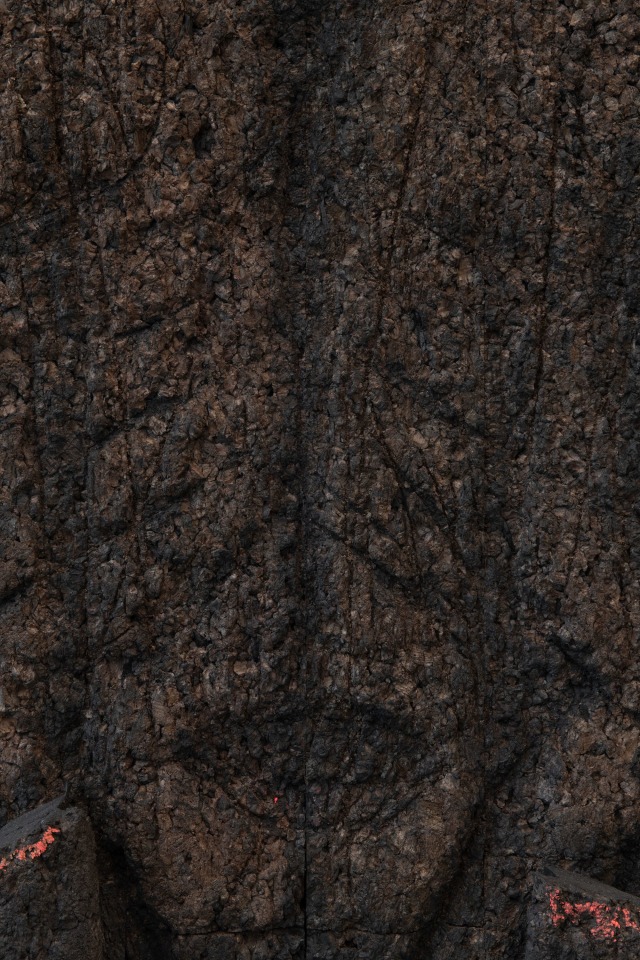 Huma Bhabha, Stars, 2024