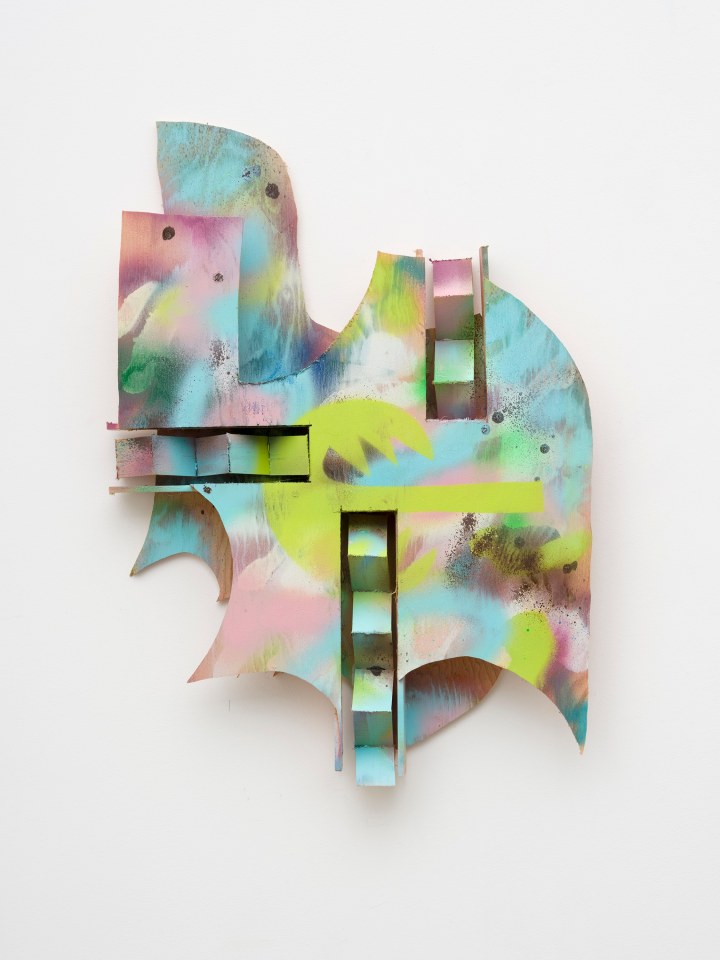 Richard Tuttle, Light Sunning Chicken Head, 2020