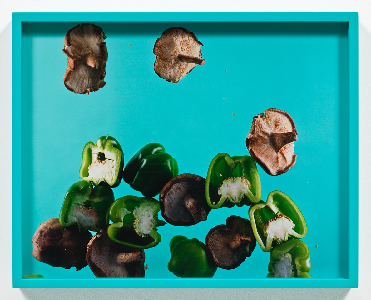 Elad Lassry Green Peppers, Shiitake, 2009