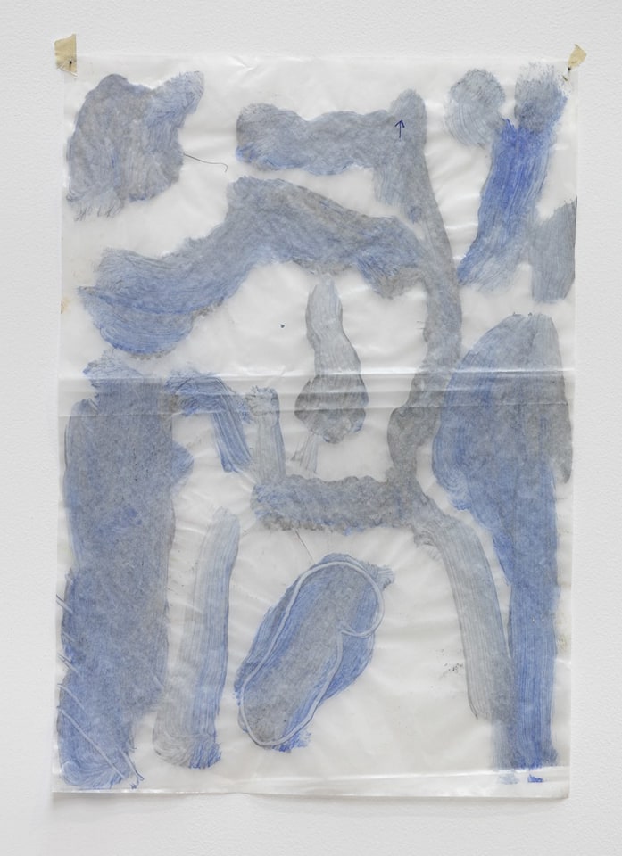 Adriano Costa PostInternet, 2016