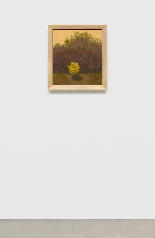 Jared Buckhiester, Officially, it was night., 2025