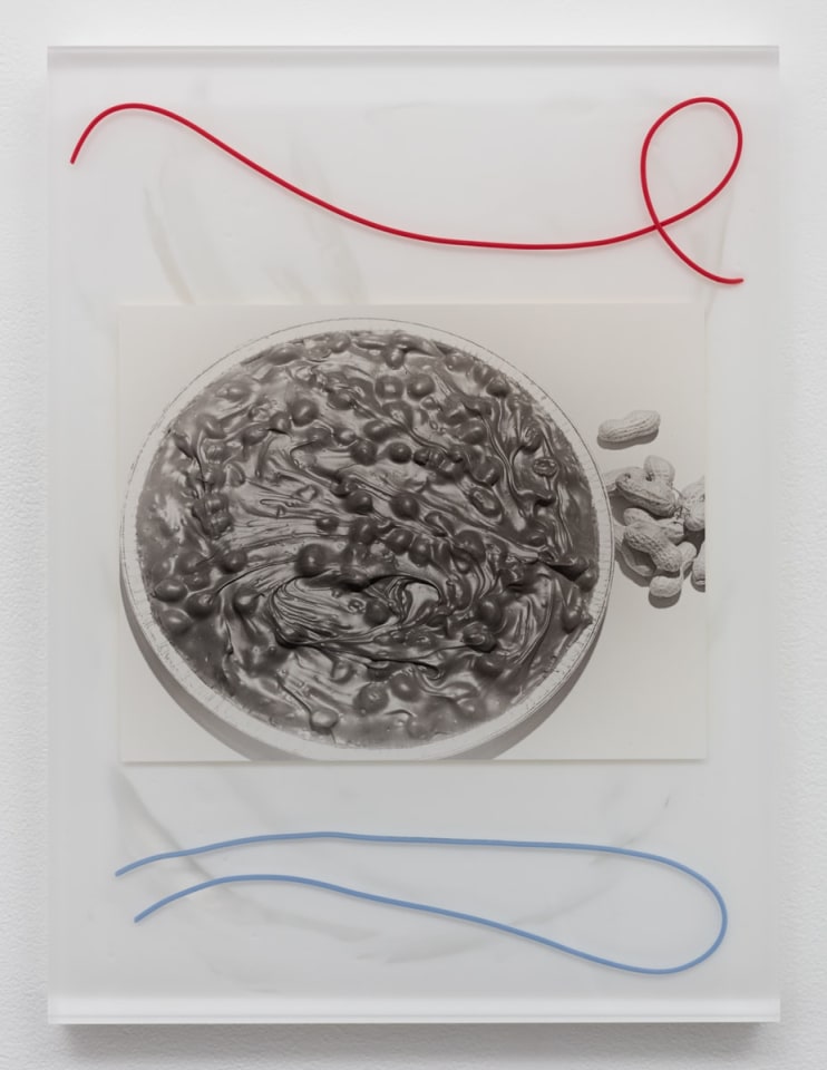 Elad Lassry Untitled (Peanuts), 2015