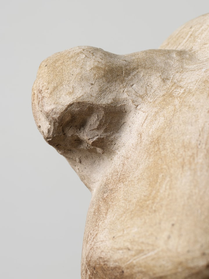 Jared Buckhiester, A short youth was mine., 2025