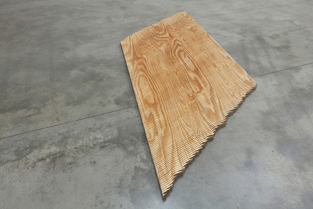 Tauba Auerbach The New Ambidextrous Universe V, 2014