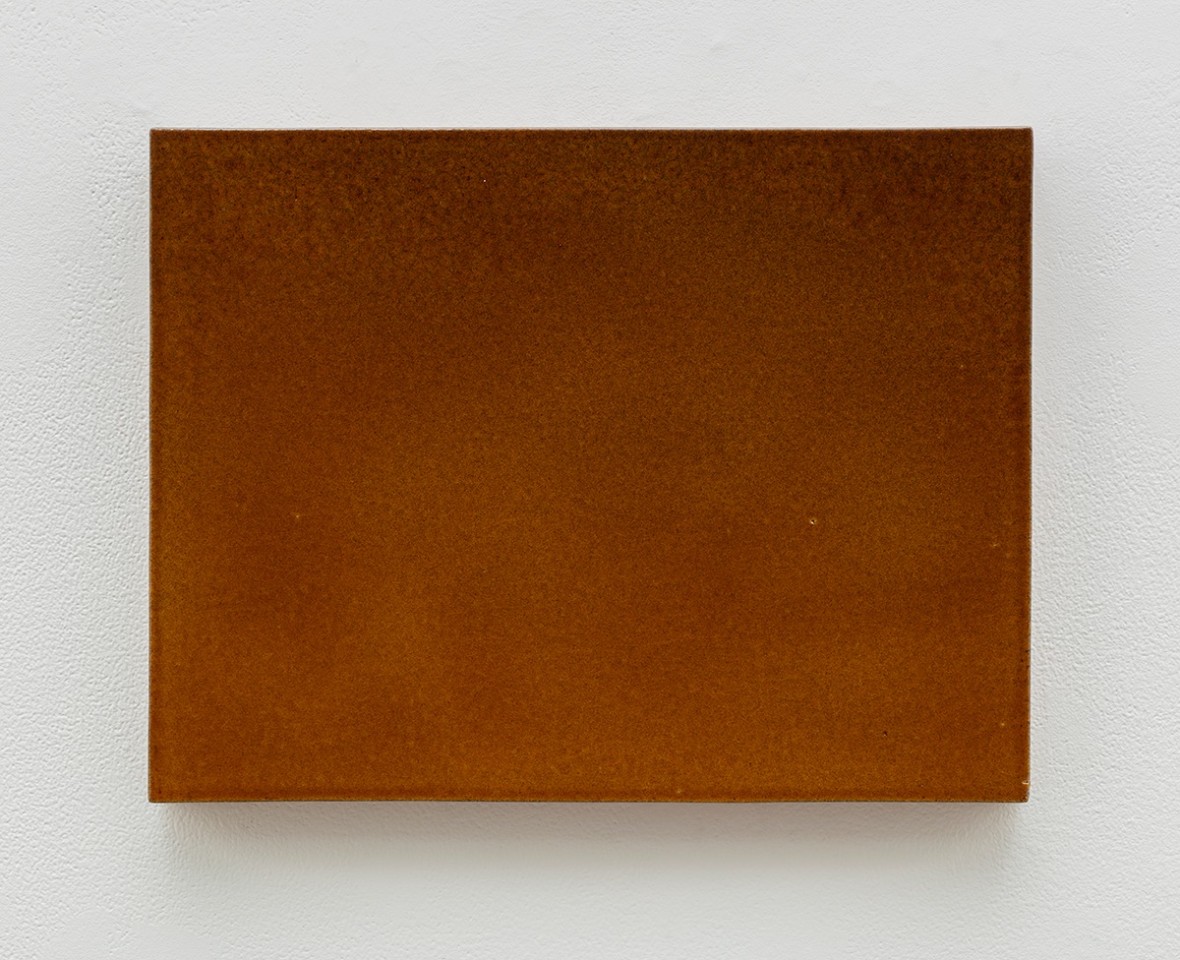 Mai-Thu Perret The toad emerges from its hole, 2017