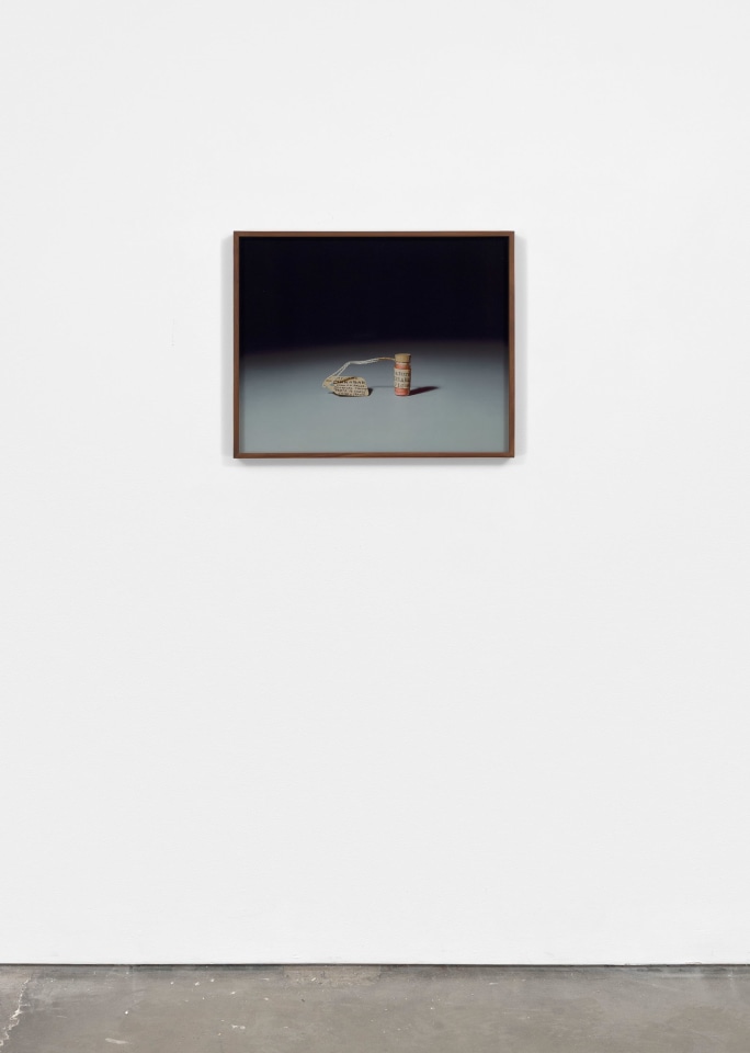 Rose Salane, Cinnabar, 2025