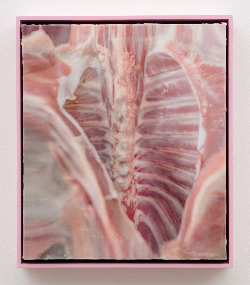 Shahryar Nashat, Lover_6.JPEG, 2022