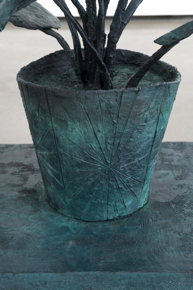 Evan Holloway Houseplant, 2018 - 2019