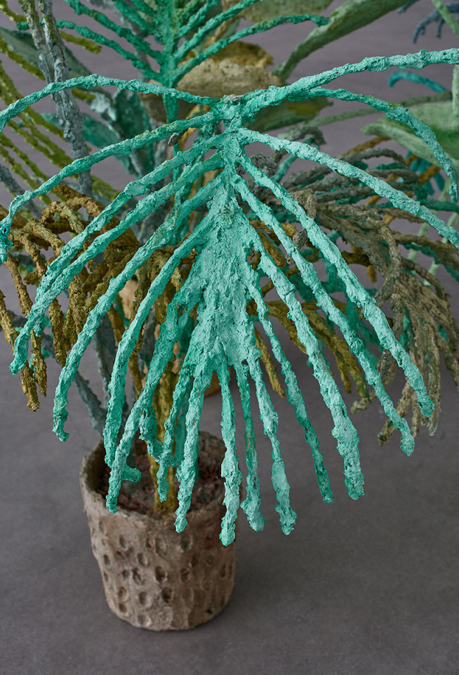 Evan Holloway Plants and Lamps, 2015