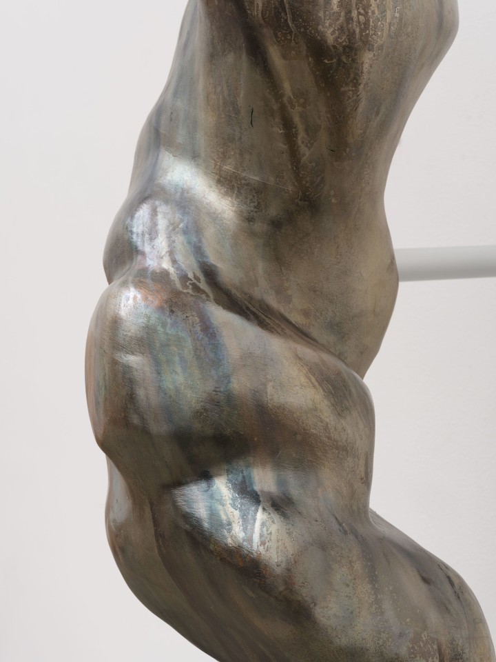 Berenice Olmedo, Nahuel, 2025