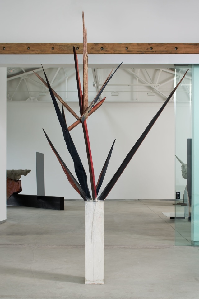 Patrick Hill The Birds of Paradise, 2009