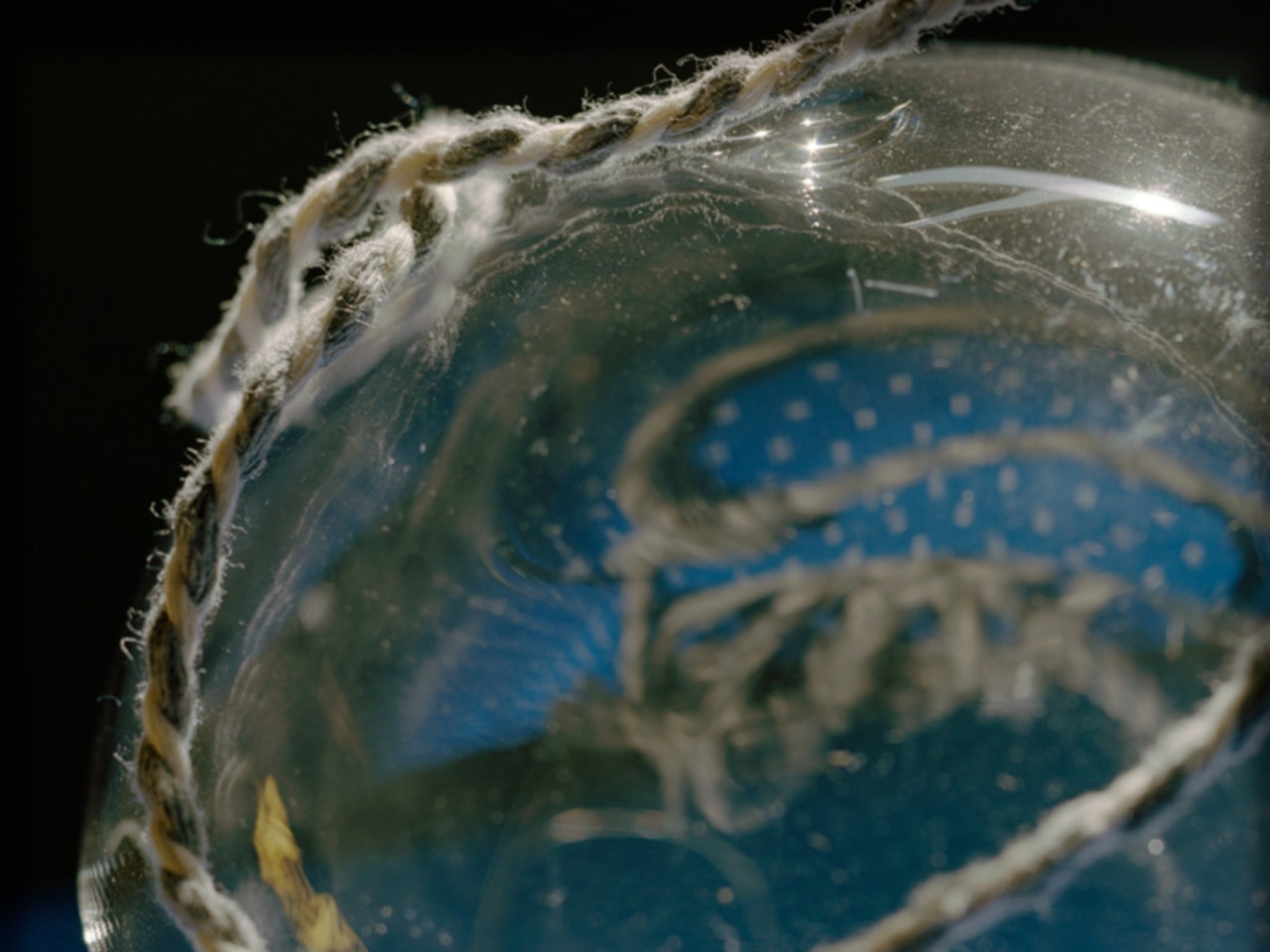 Torbj&oslash;rn R&oslash;dland, The Variant, 2021