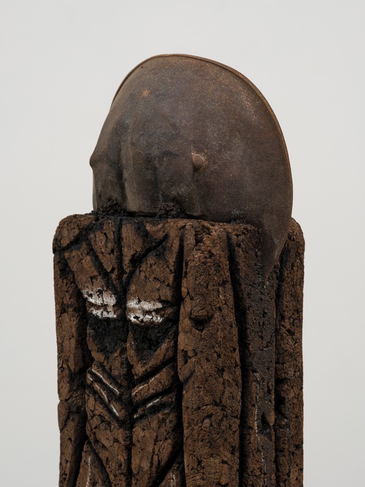 Huma Bhabha, Professor, 2022