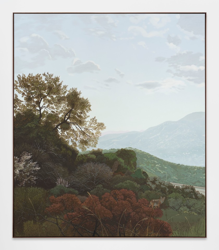 Jake Longstreth, In the Verdugo Mountains, 2025