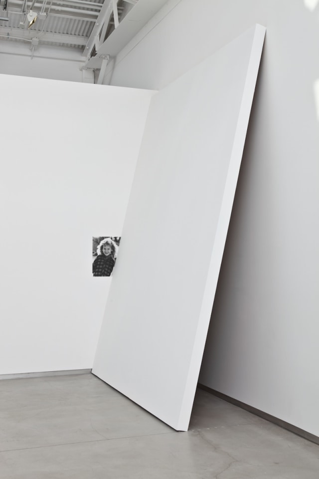Heather Cook Lean Repeat, 2011