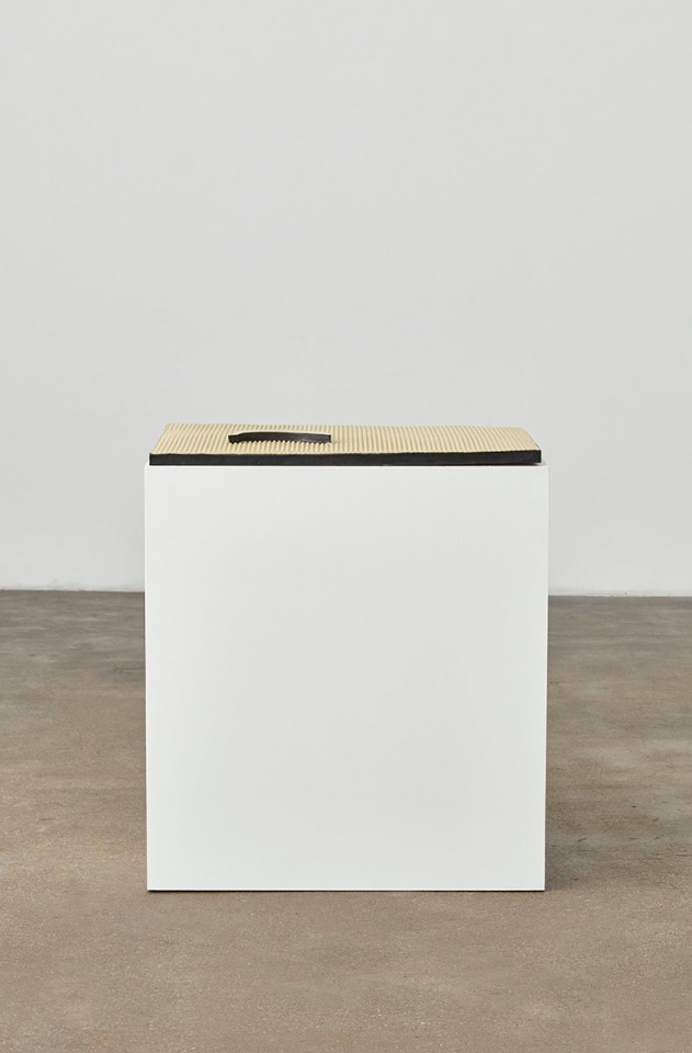 A ripple a banana, 2016