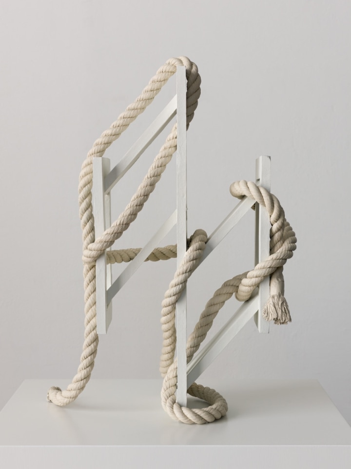 Ricky Swallow Skewed Open Structure with Rope #2 (white), 2015