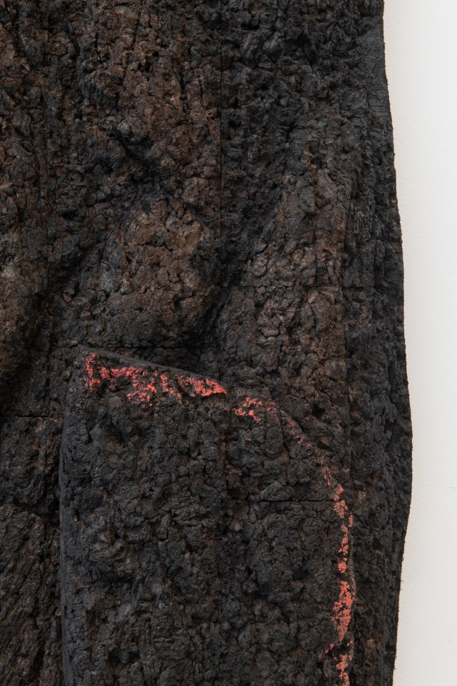 Huma Bhabha, Stars, 2024