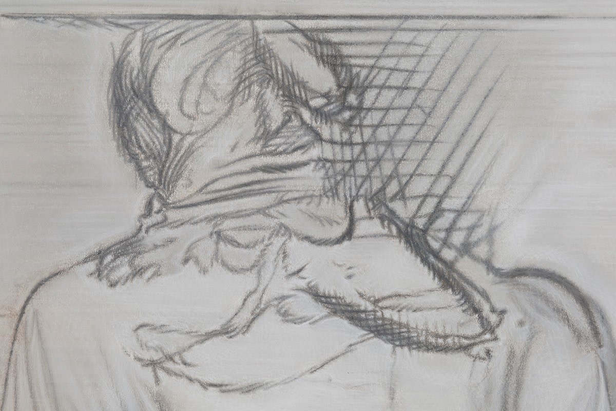 Pietro Roccasalva Il Traviatore, 2011&nbsp;(detail)