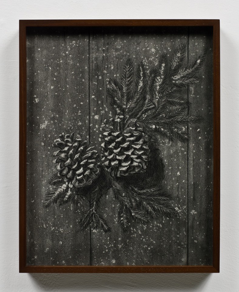 Elad Lassry Pine cones, 2012