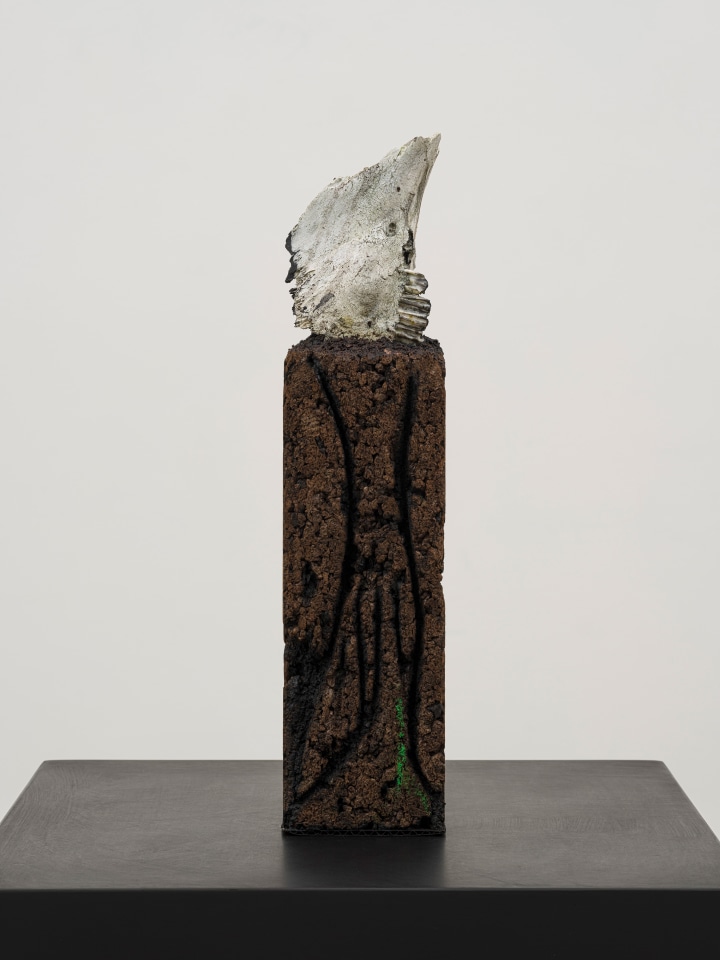 Huma Bhabha, Writer, 2022