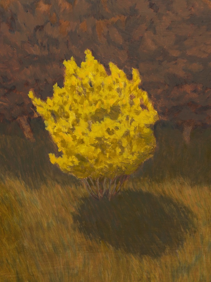 Jared Buckhiester, Officially, it was night., 2025