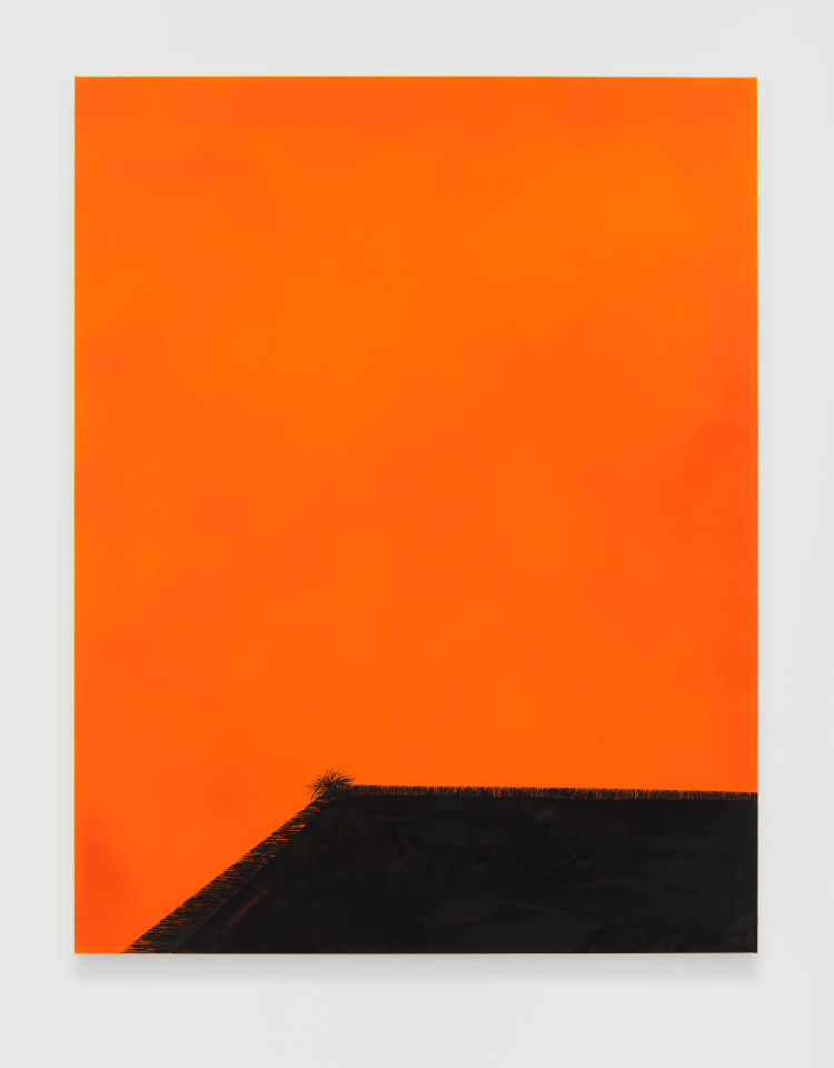 Calvin Marcus Orange Room, 2019