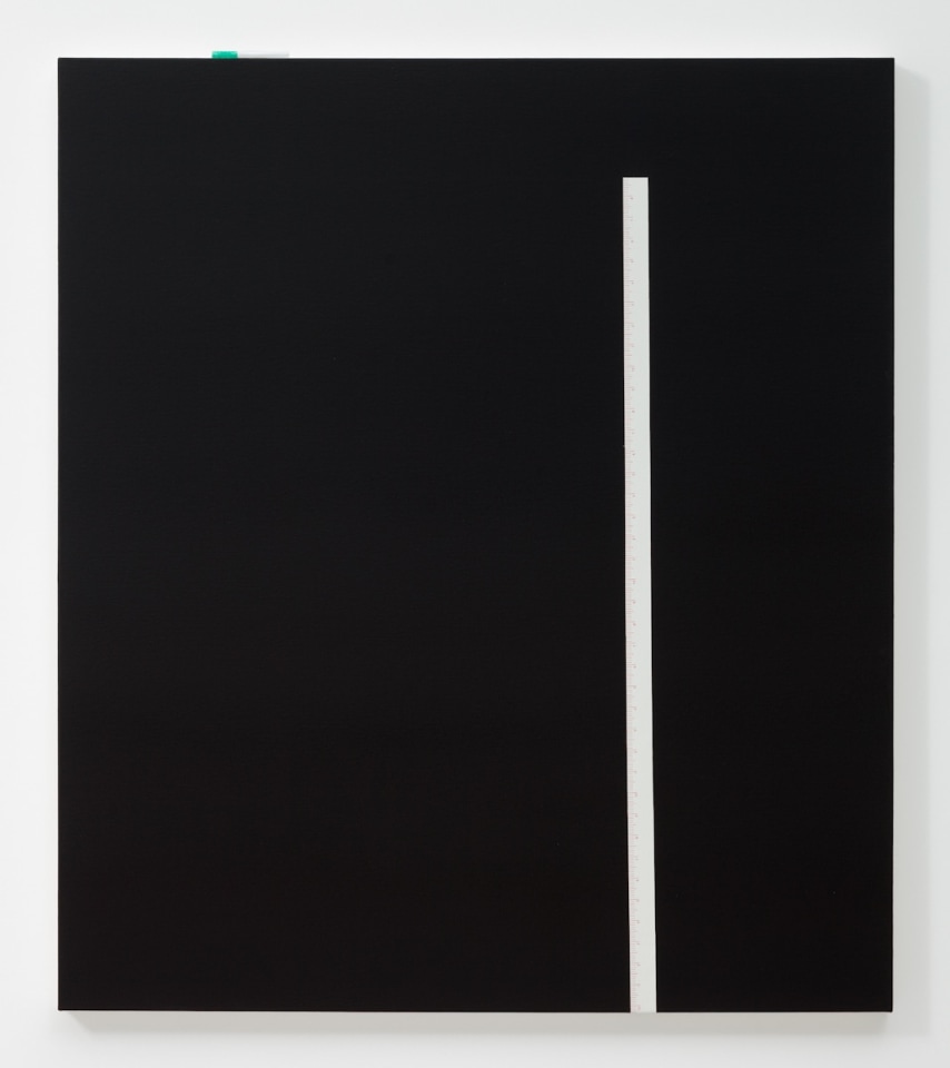 Matthew Brannon Dust Jacket, Title &amp;amp; The Spine Underneath, 2010