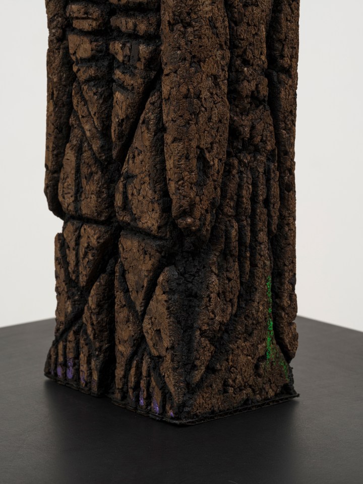 Huma Bhabha, Writer, 2022