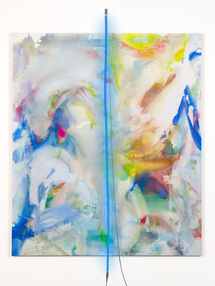 Mary Weatherford, The Birds of Kīlauea Point, 2021