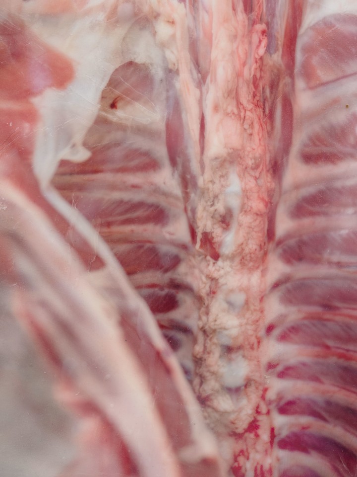 Shahryar Nashat, Lover_8.JPEG, 2022