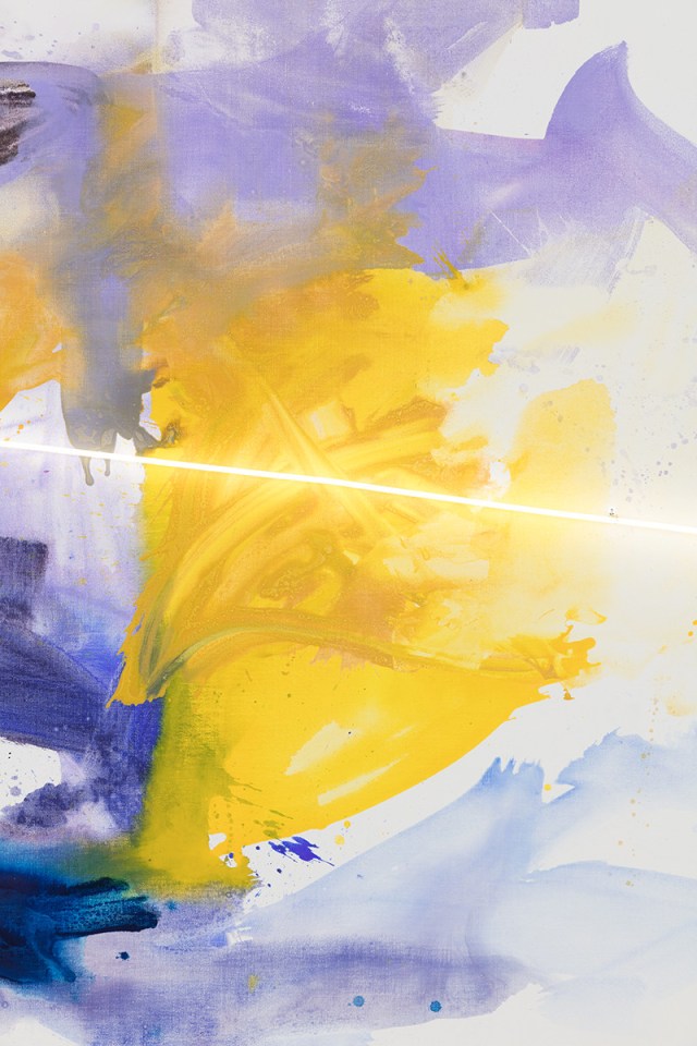 Mary Weatherford Butterfly, 2017