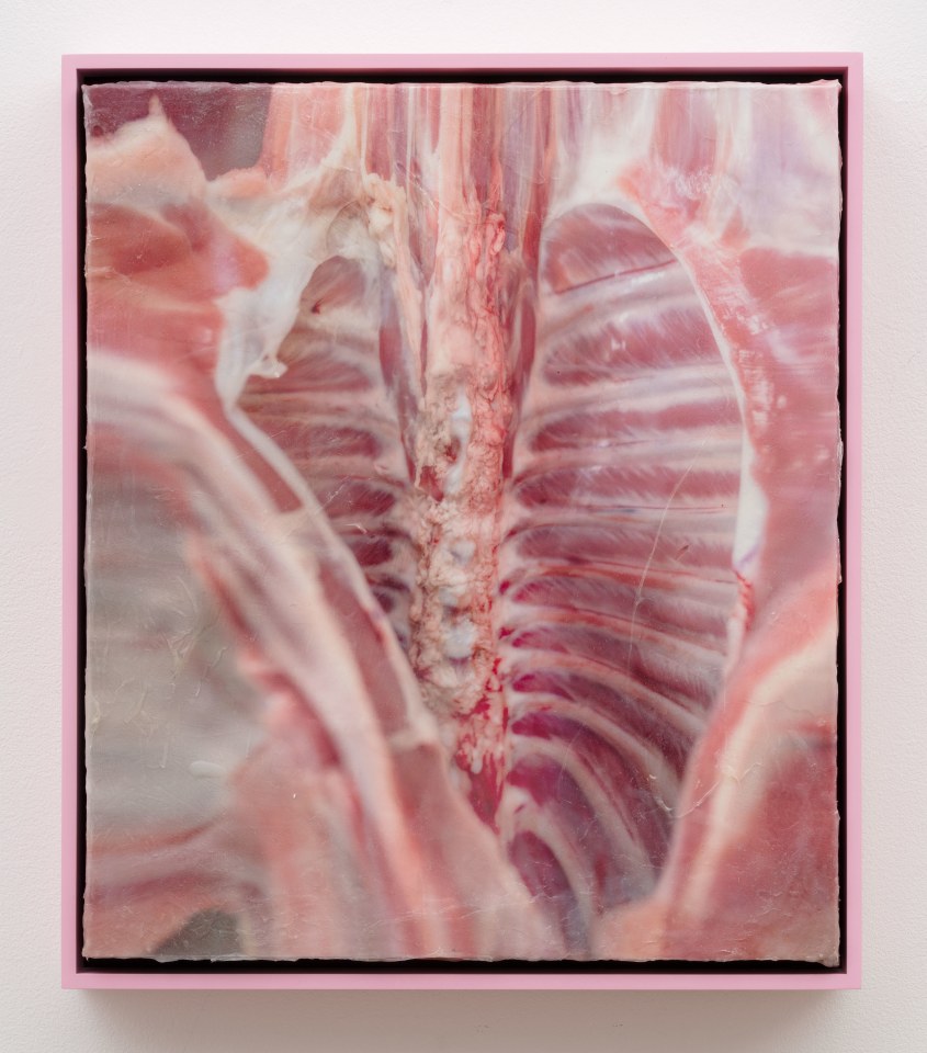 Shahryar Nashat, Lover_5.JPEG, 2022