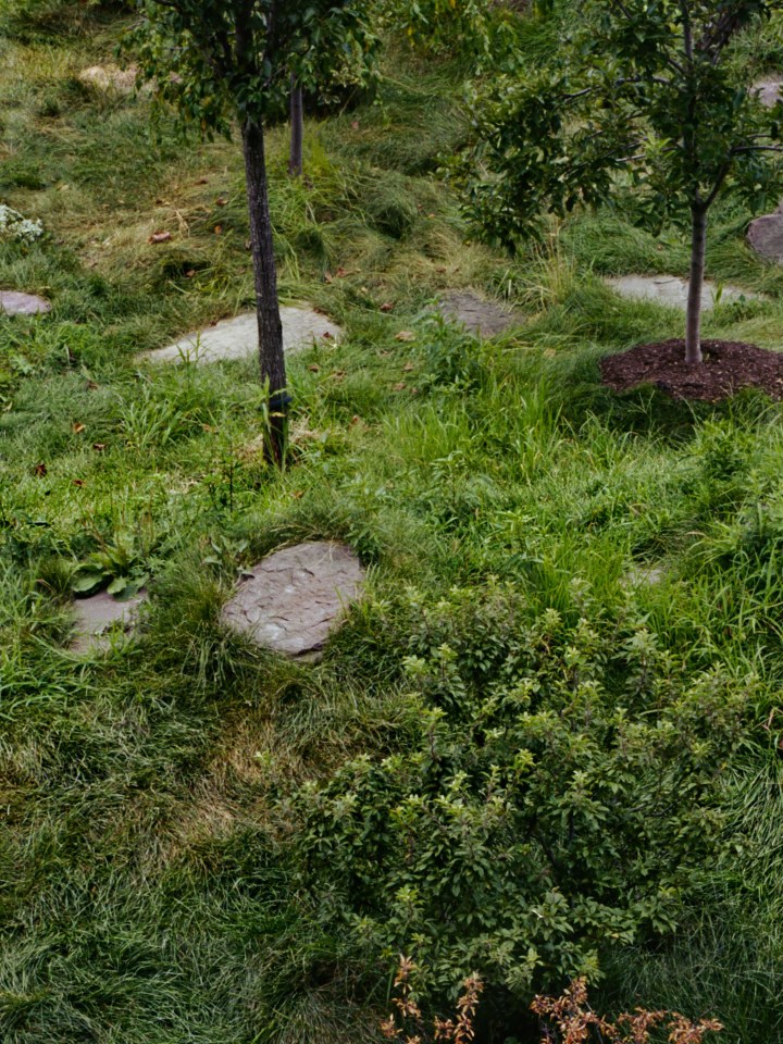 Clifford Owens, Untitled, 2015