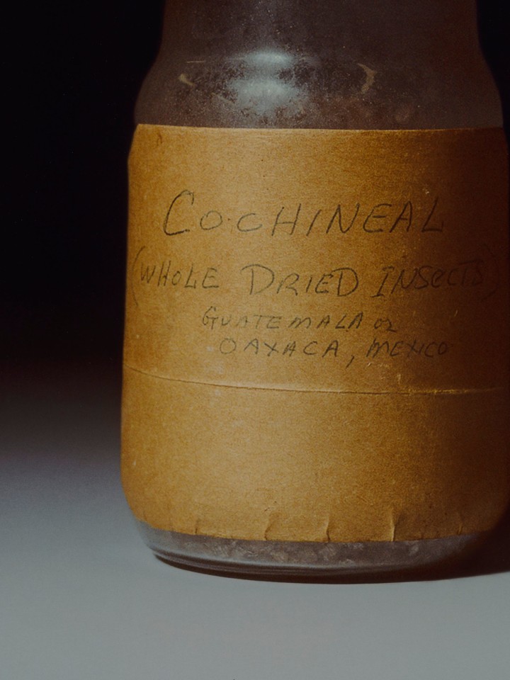 Rose Salane, Cochineal, 2025