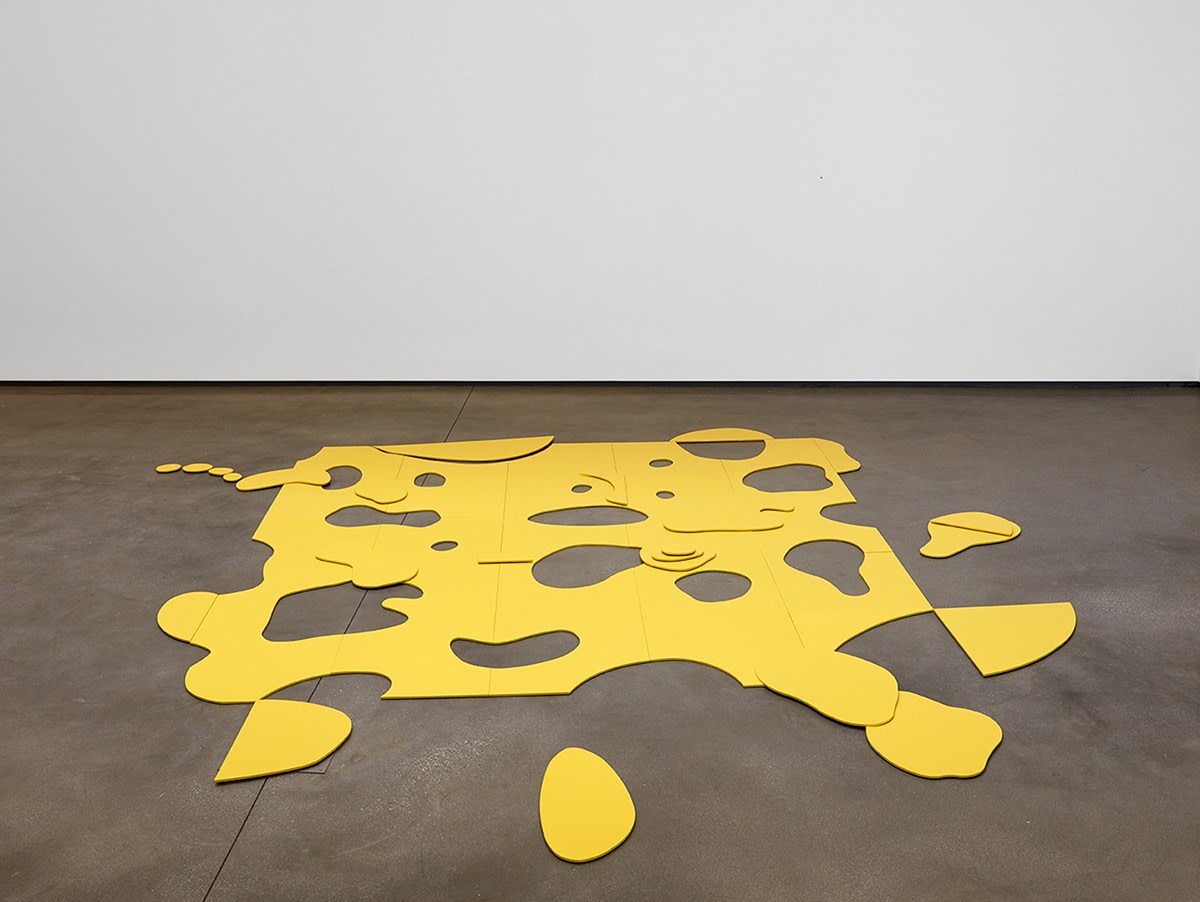 Adriano Costa BigBangPsychedelicCheese, 2016